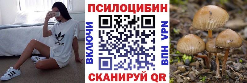 Галлюциногенные грибы Cubensis  Новомичуринск 